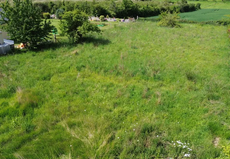 DJI_0479.JPG