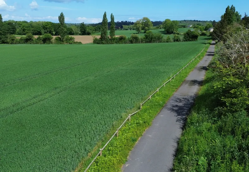 DJI_0475.JPG