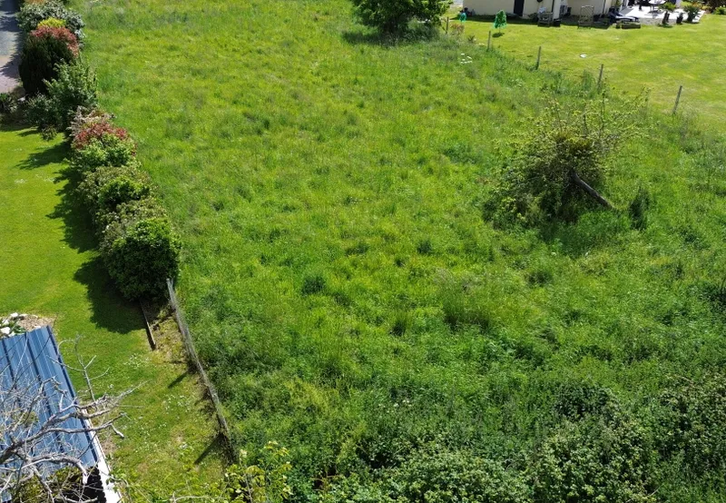 DJI_0477.JPG